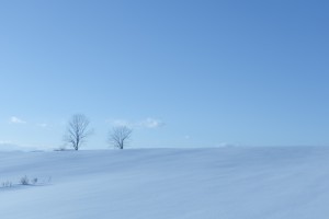 冬景色